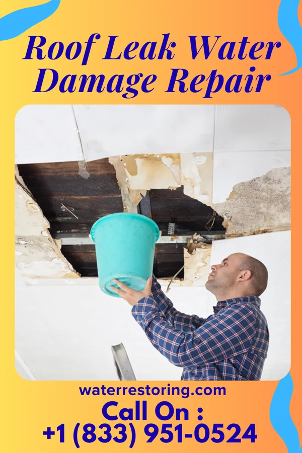 Roof Leak Water Damage Repair in Elgin, IA